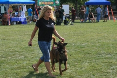 dog-training-3