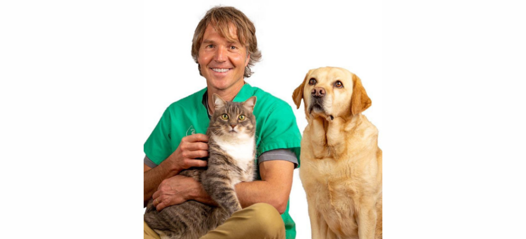 Popular Veterinarians to Check Out on TikTok 