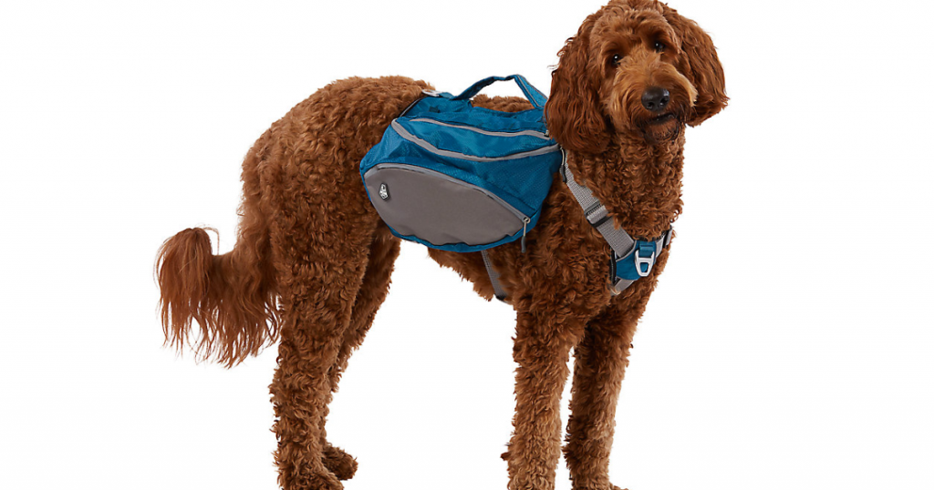 Arcadia Trail™ Ultimate Harness with Backpack