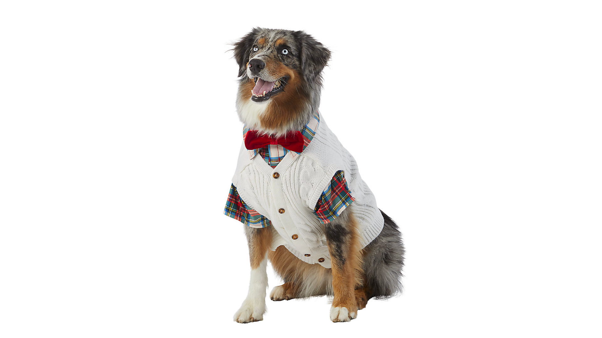 Christmas Clothes for Dogs Canine Country