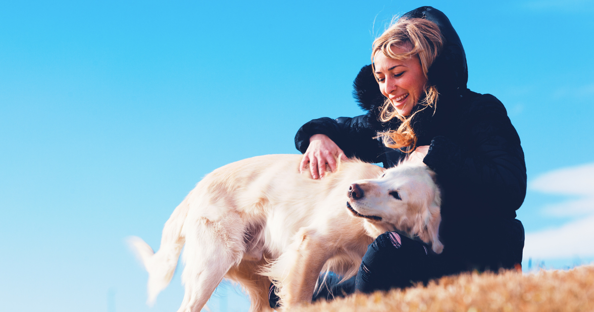 Decoding Head Pressing in Dogs Signs & Solutions Canine Country