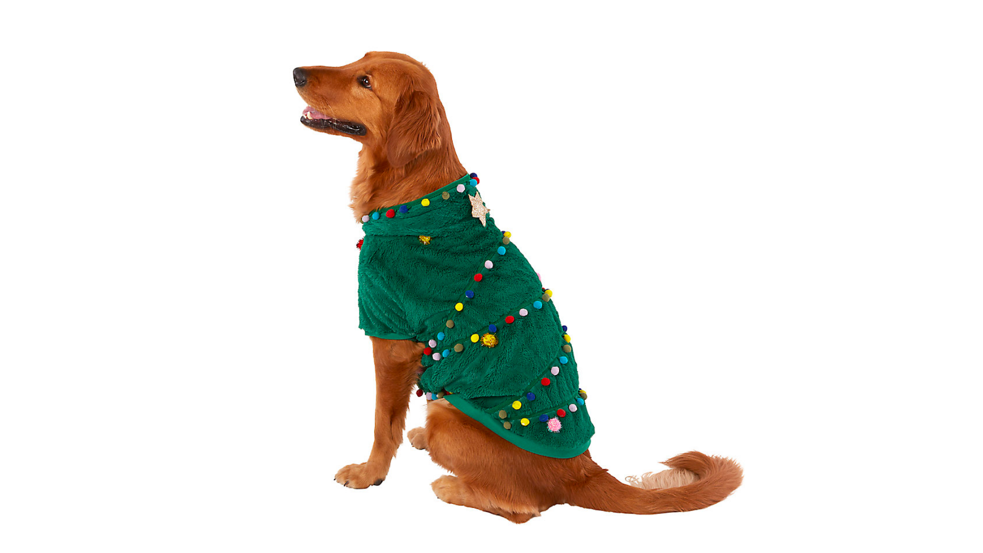 Christmas Clothes for Dogs Canine Country