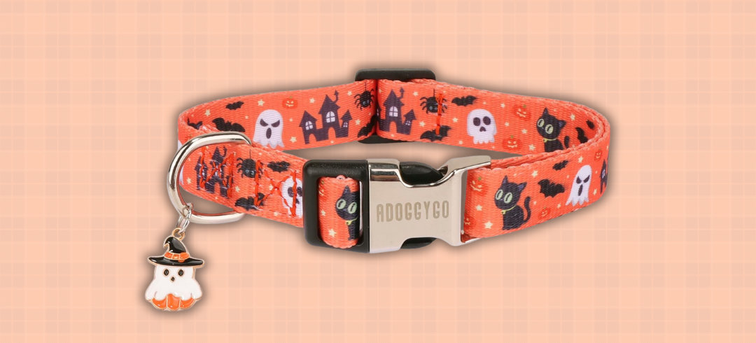 Dog Gear for Spooky Season