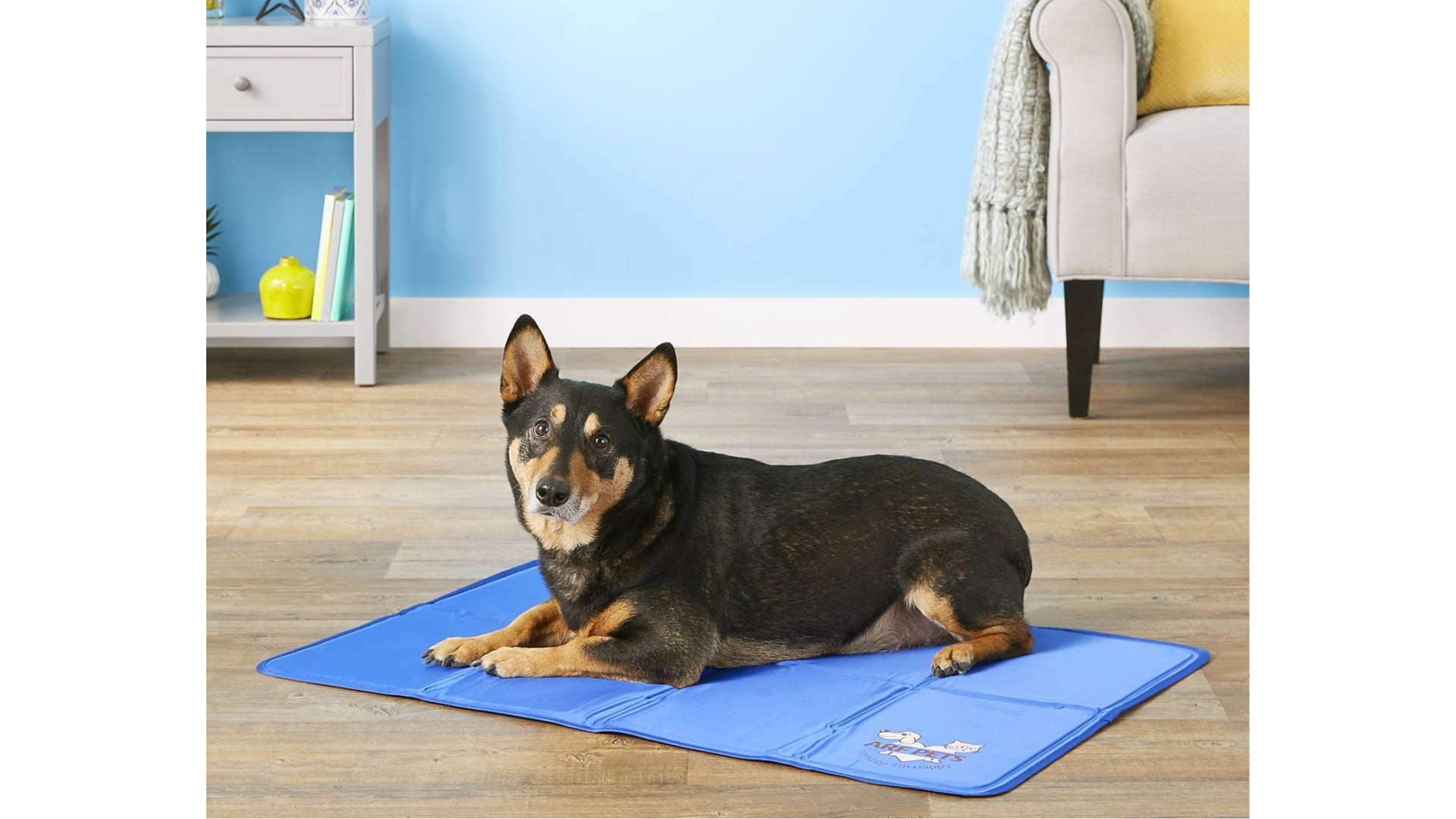 The Best Cooling Mats for Dogs Canine Country