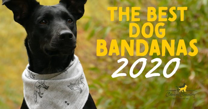 seasonal dog bandanas