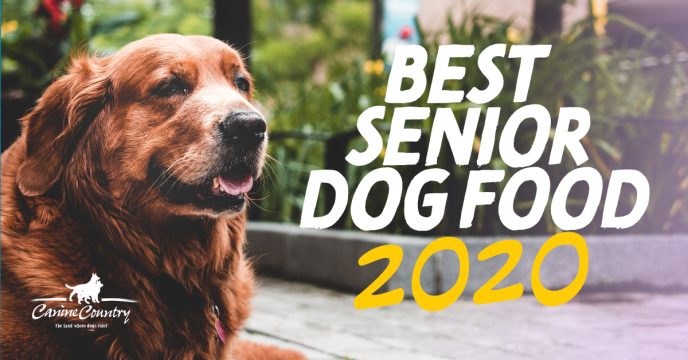 The Best Senior Dog Food of 2020