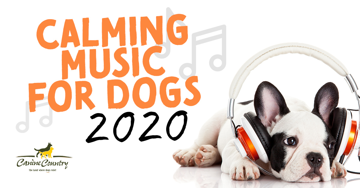 canine calming music