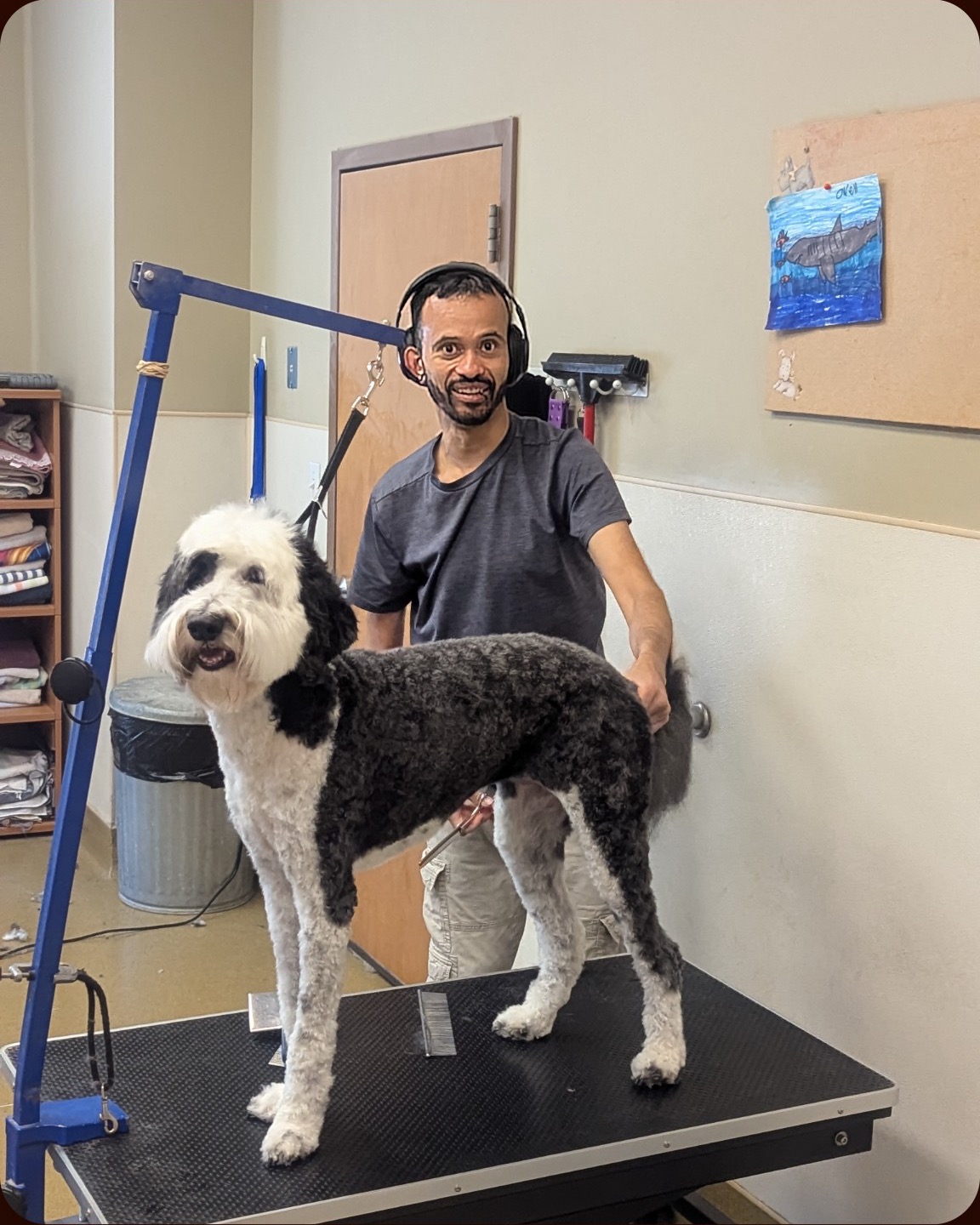 A freshly groomed black and white dog standing on the grooming table with a Canine Country groomer