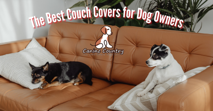 The Best Couch Covers for Dog Owners