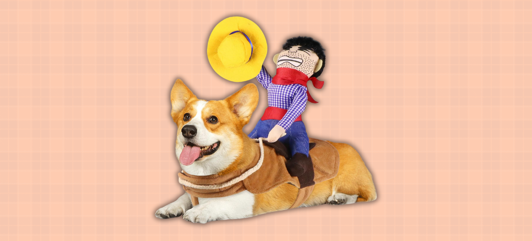 Dog Gear for Spooky Season