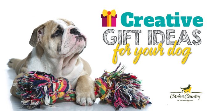 Creative Gift Ideas for Dogs