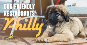 dog friendly restaurants philadelphia