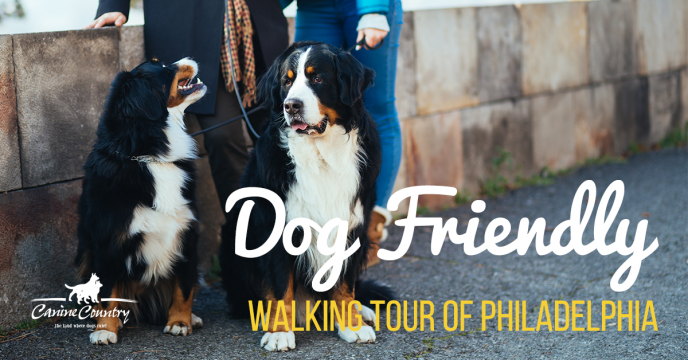 dog friendly walking tour of philadelphia