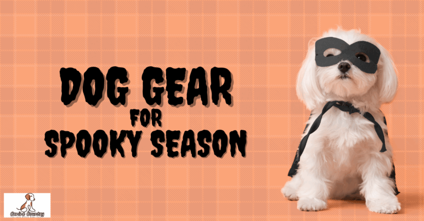 Dog Gear for Spooky Season