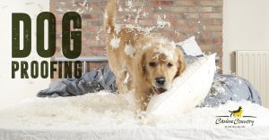 Dog proofing your home.