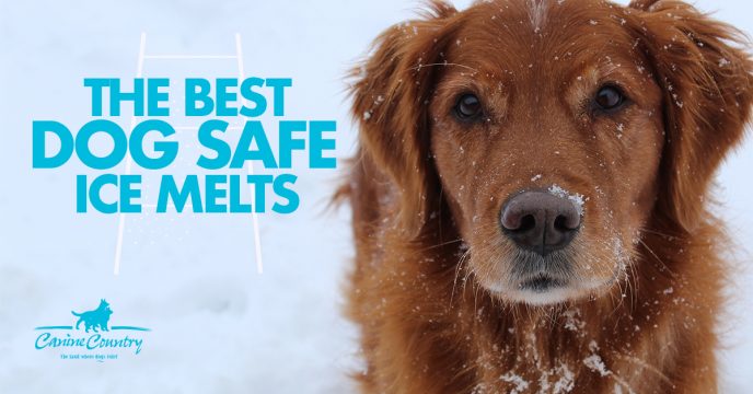The Best Dog Safe Ice Melts