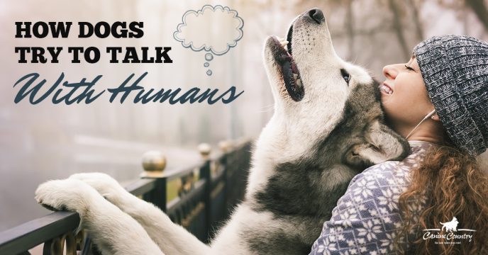 How Dogs Try to Talk with Humans