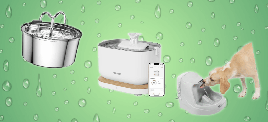 Water Fountains for Dogs: Are They Worth It?