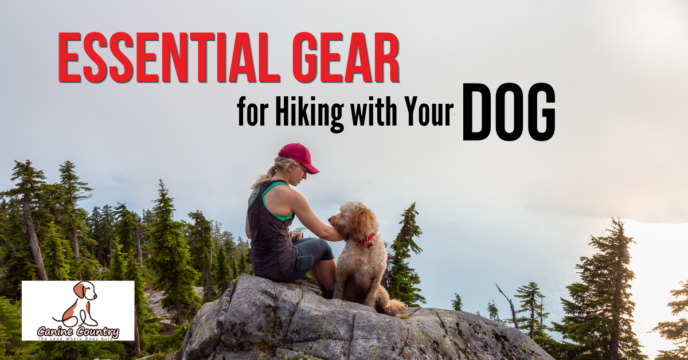 Essential Gear for Hiking with Your Dog