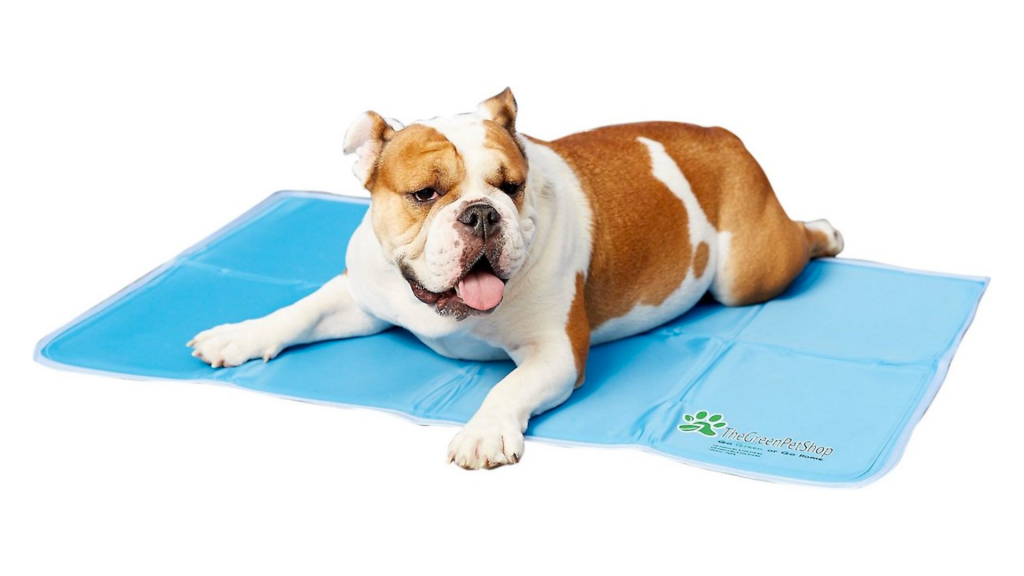 The Best Cooling Mats for Dogs - Canine Country