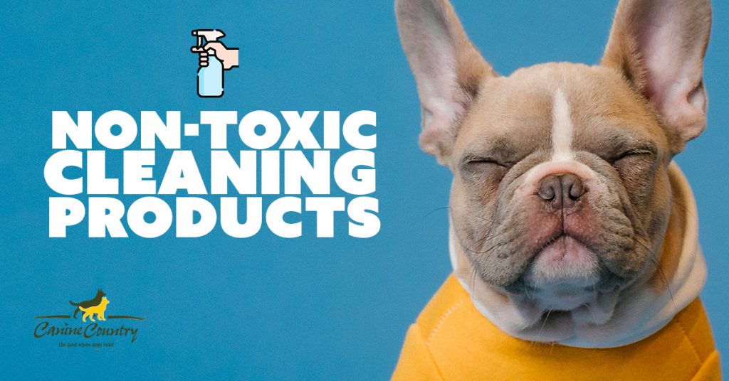 NonToxic Cleaning Products for Dog Owners Canine Country