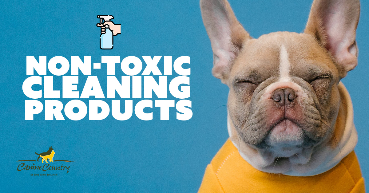 Non-Toxic Cleaning Products for Dog Owners - Canine Country