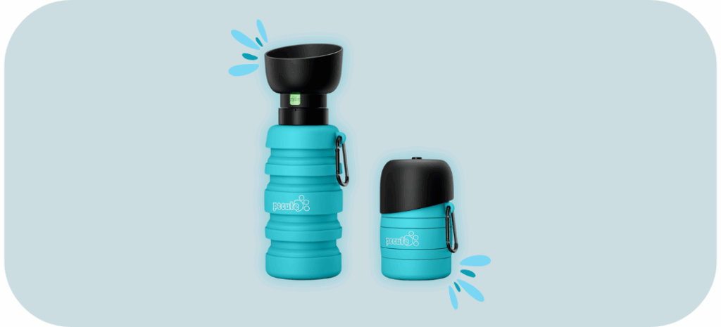 The Best Water Bottles for Dogs