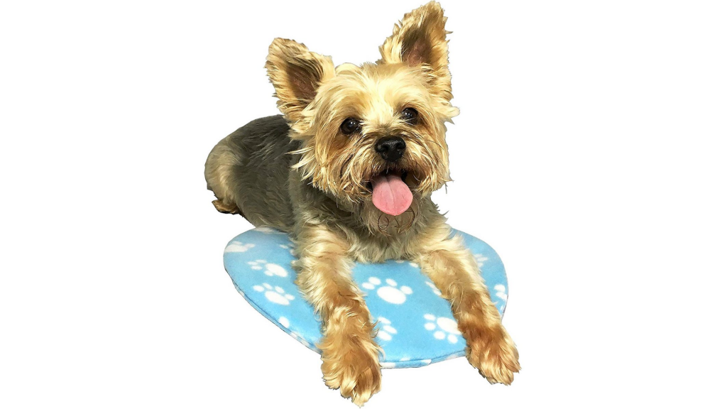 ARF PETS Self-Cooling Solid Gel Dog Crate Mat, 35 x 55 in 