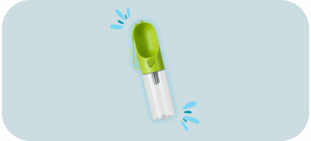 The Best Water Bottles for Dogs