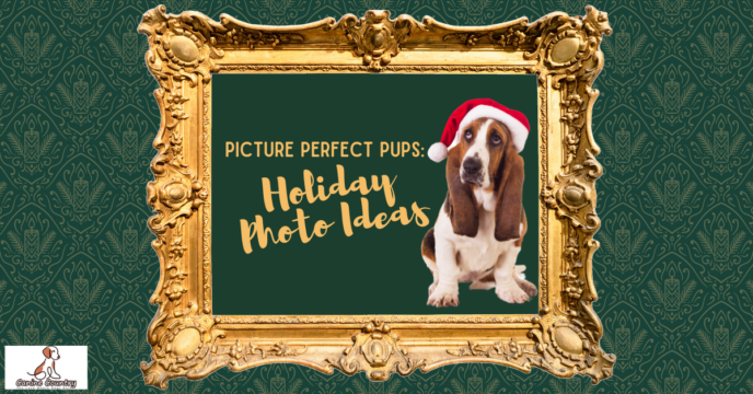 Picture Perfect Pups: Holiday Photo Ideas