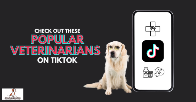 Popular Veterinarians to Check Out on TikTok