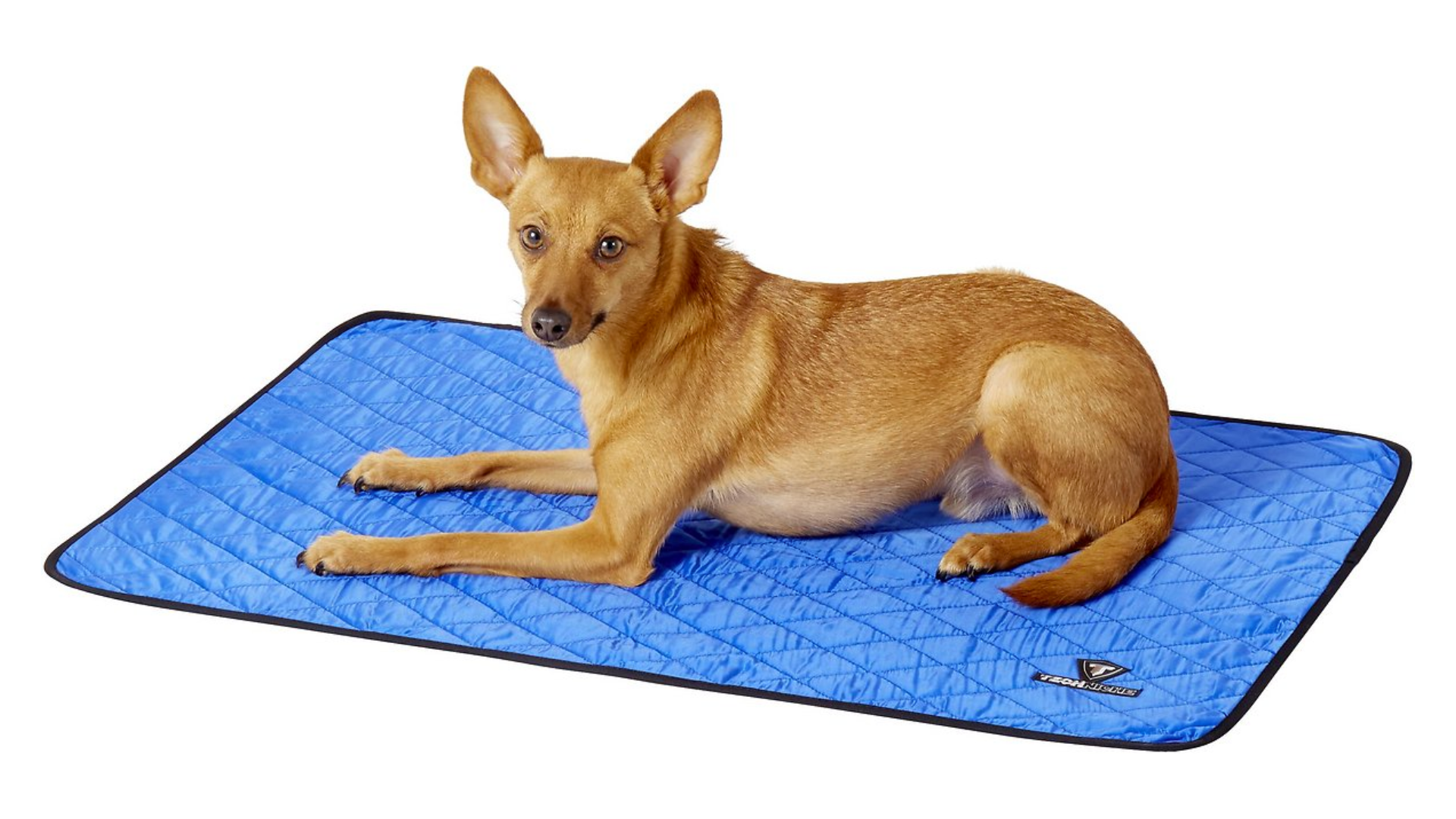 The Best Cooling Mats for Dogs Canine Country