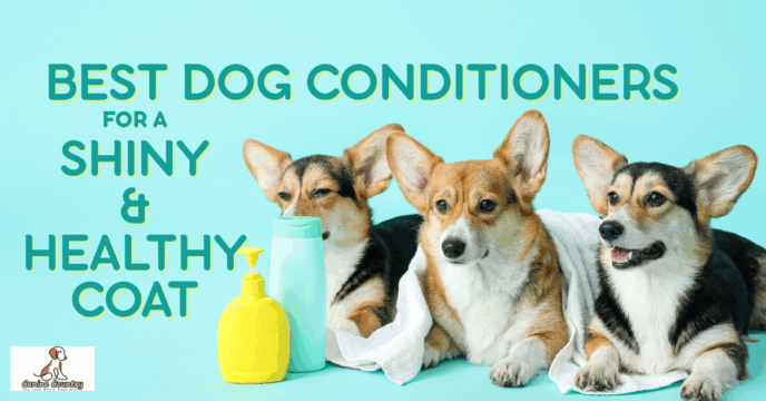 The Best Dog Conditioners for a Shiny and Healthy Coat