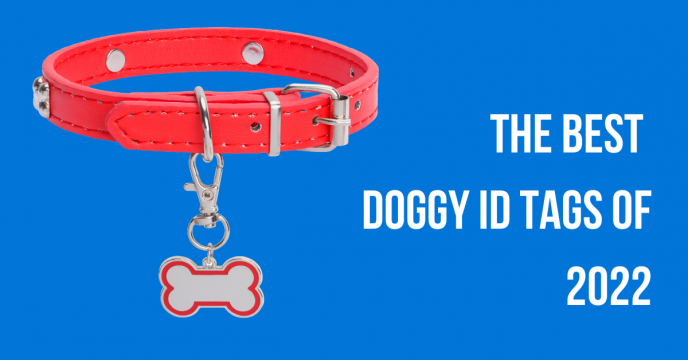 The Best Doggy ID Tags of 2022