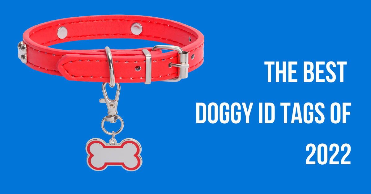 what are the best dog id tags