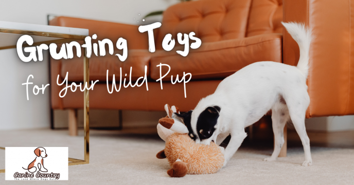 The Best Grunting Toys for Your Wild Canine