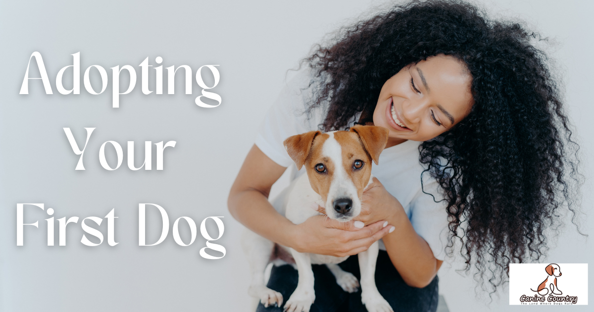 Tips for Adopting Your First Dog - Canine Country