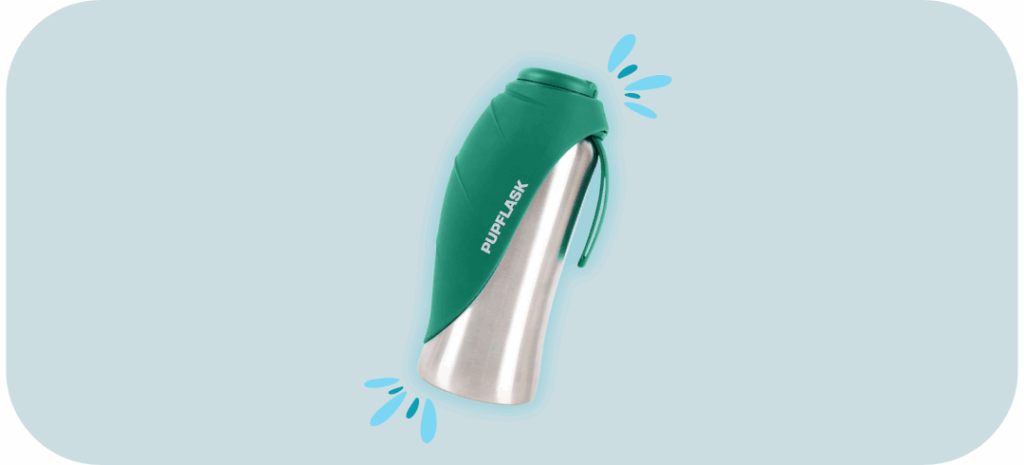 The Best Water Bottles for Dogs