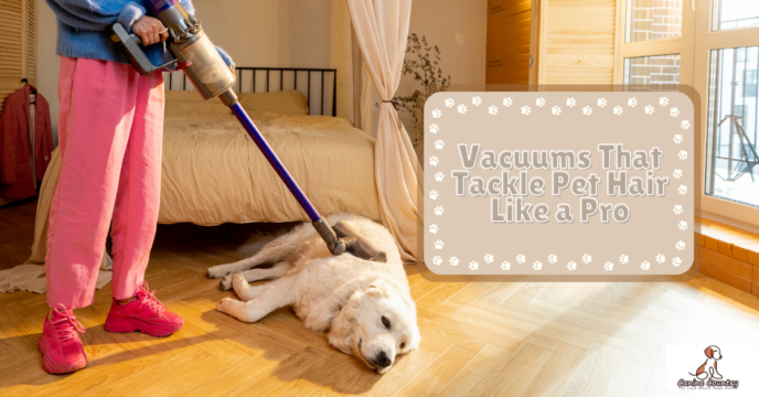 Vacuums That Tackle Pet Hair Like a Pro