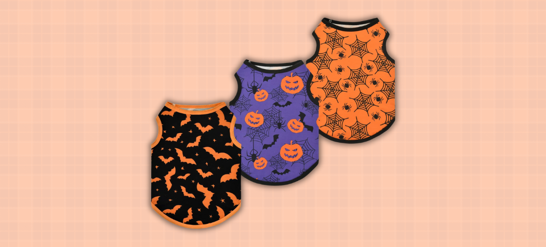 Dog Gear for Spooky Season 