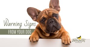 Warning Signs from Your Dog.