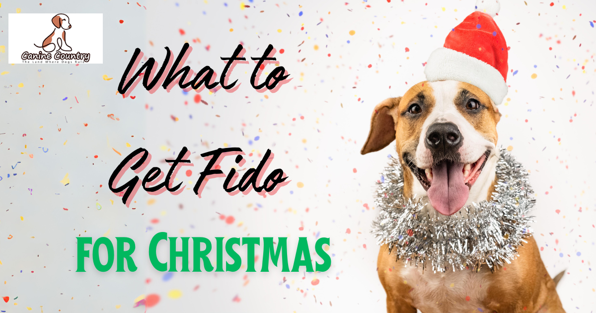 Christmas Gifts for Dogs: What Should I Get My Dog in 2023? · The