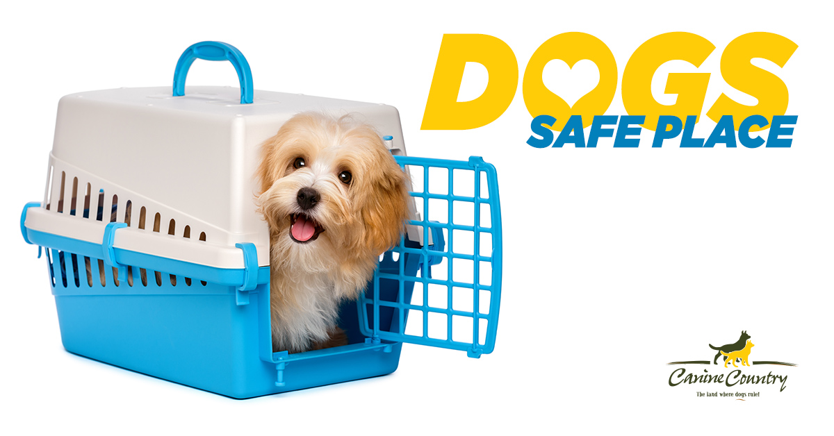 safest dog kennels