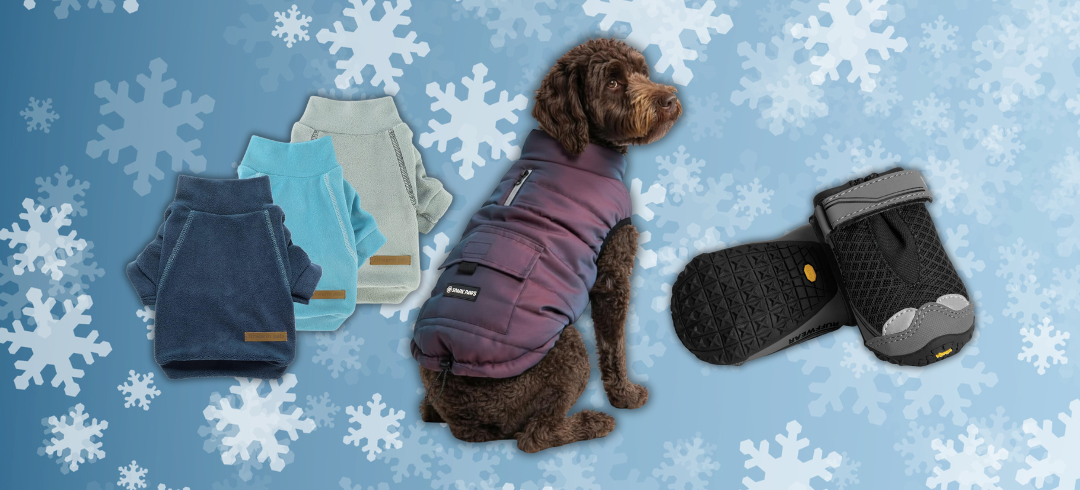 Protecting Your Dog from the Snow & Ice