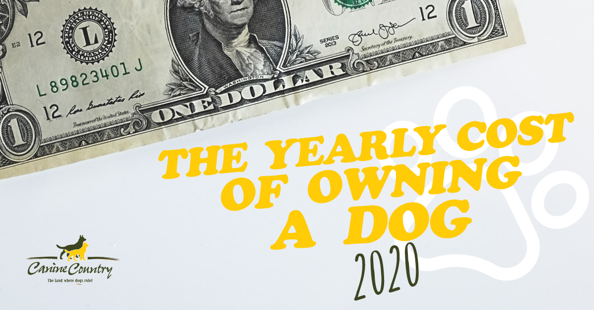 Yearly Cost of Owning a Dog in 2020 Canine Country